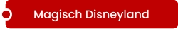 Magisch Disneyland