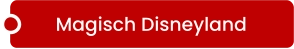 Magisch Disneyland