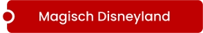 Magisch Disneyland